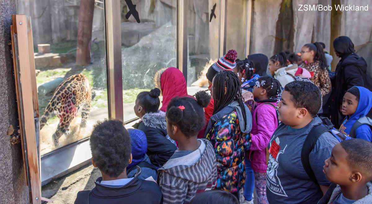 Milwaukee County Zoo – Animal Ambassador Program